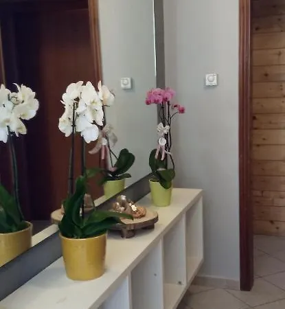 Apartment Grazioso Lecce. Lecce